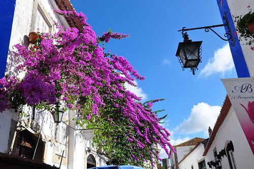 https://www.suntoursinternational.com/wp-content/uploads/2026/02/obidos-h2.jpg